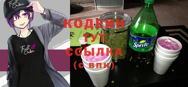 амфетамин Белокуриха